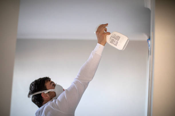 Best Mold Testing  in Spencerville, MD