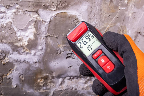 Best Office Mold Removal Services  in Spencerville, MD