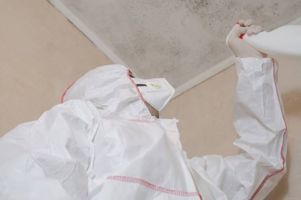 Best Affordable Mold Removal  in Spencerville, MD